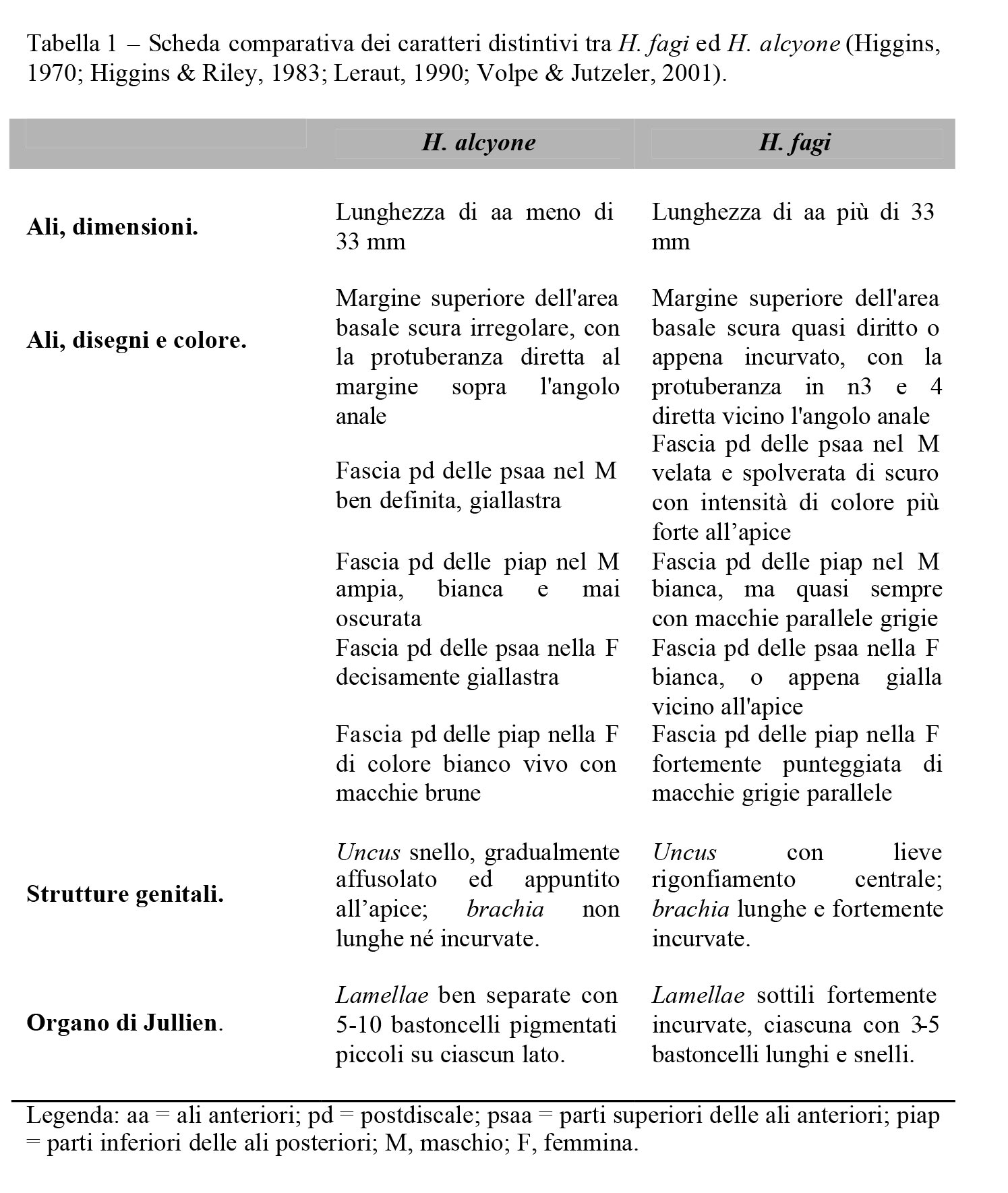 Differenze tra Hipparchia fagi e Hipparchia alcyone
