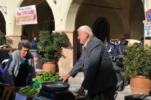 Mostra mercato del Sedano nero - Sagra del Sedano nero e della Salsiccia - un produttore di sedano nero di Trevi, Orti delle Canapine