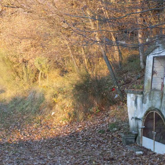 Trevi - Pigge, «Madonna di Sant'Arcangelo» [TRE630]