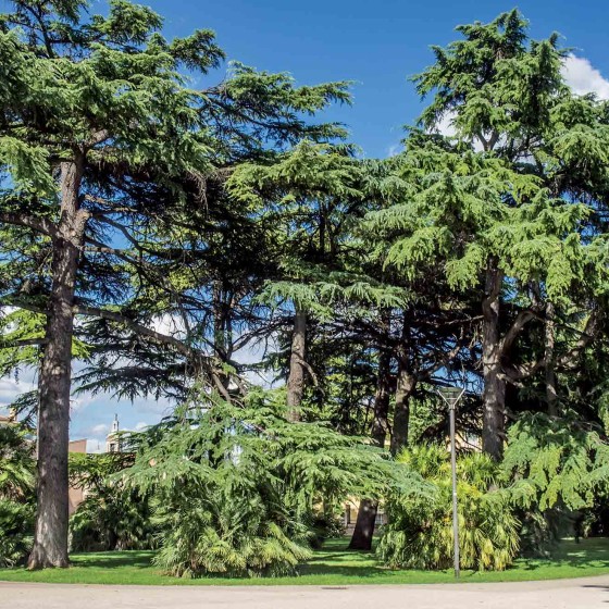 Foligno, Parco dei Canapè