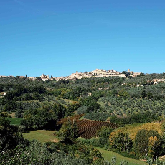 Panorama di Montefalco