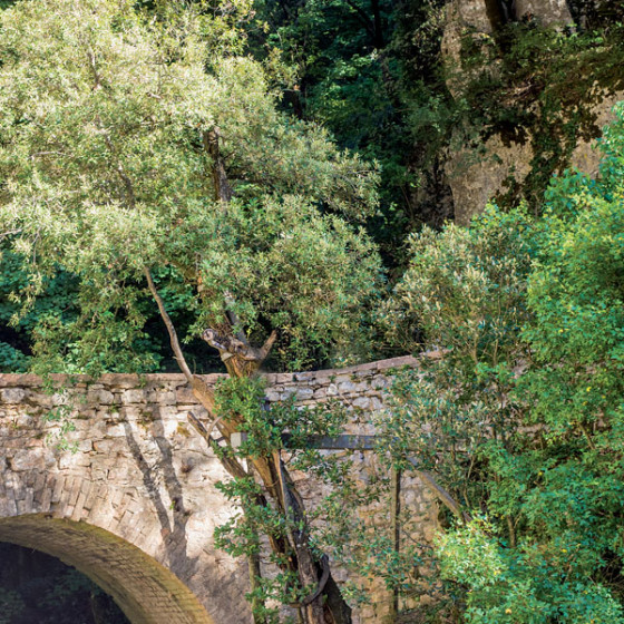 Leccio – Assisi, Eremo delle Carceri (1)