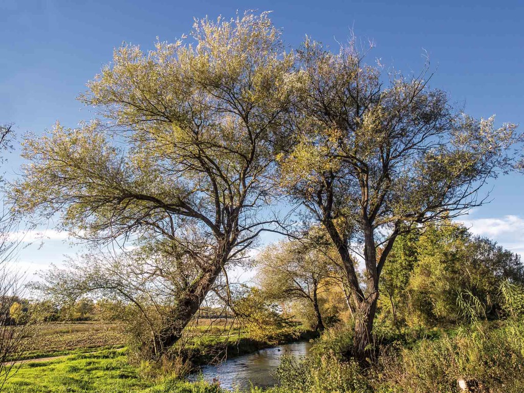 Salice – Trevi, Pietrarossa, fiume Clitunno