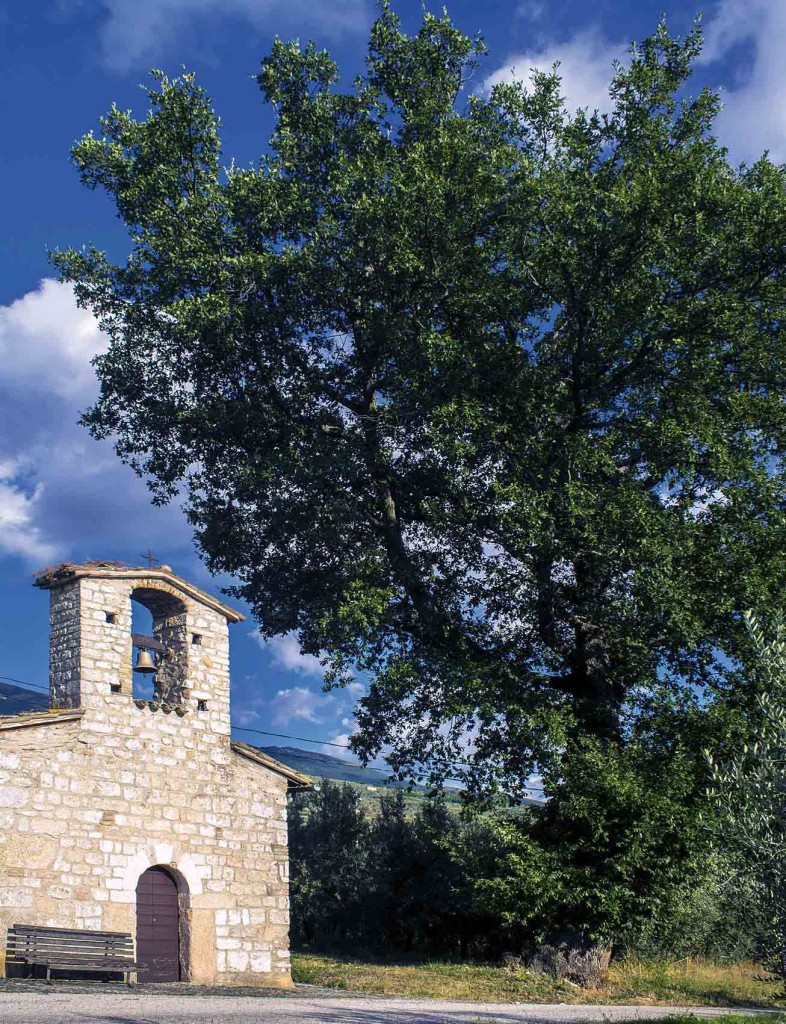 Roverella – Trevi, Santa Maria in Valle, via Collecchio, chiesa di Sant’Andrea