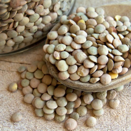 Lenticchie [photo credit by Vegan Photo www.flickr.com/photos/141397992@N02/27323245771Lentils legumes beans via photopincreativecommons.org/licenses/by/2.0/]