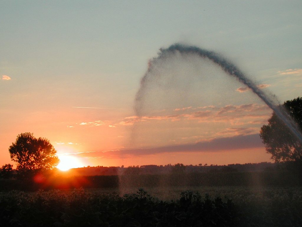 Picciche, campagna al tramonto