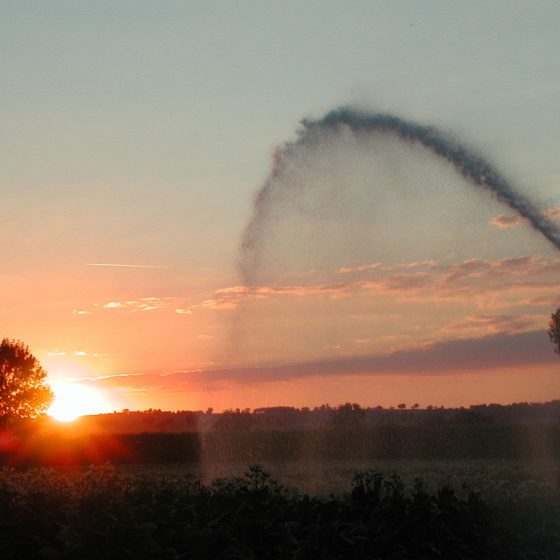 Picciche, campagna al tramonto