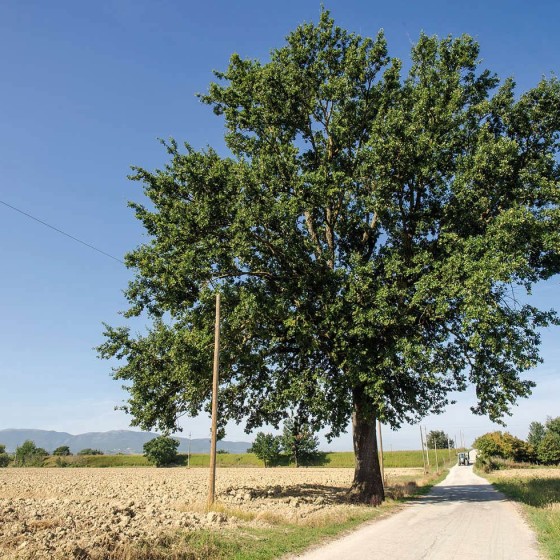 Farnia – Trevi, Cannaiola, via del Passo