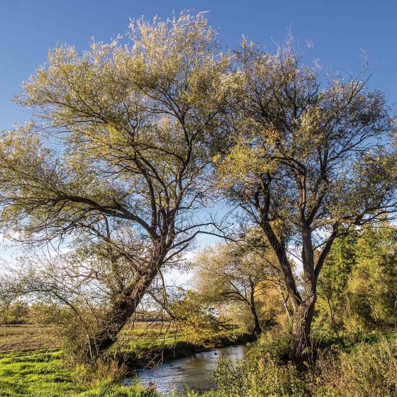 Salice – Trevi, Pietrarossa, fiume Clitunno