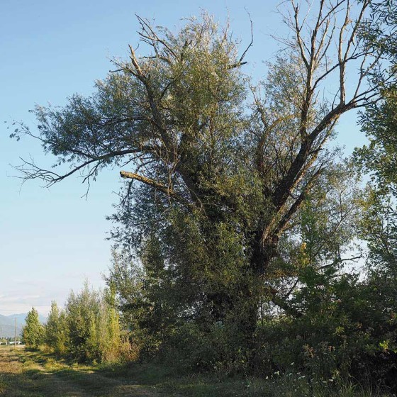 Salice – Trevi, Pietrarossa, fiume Clitunno