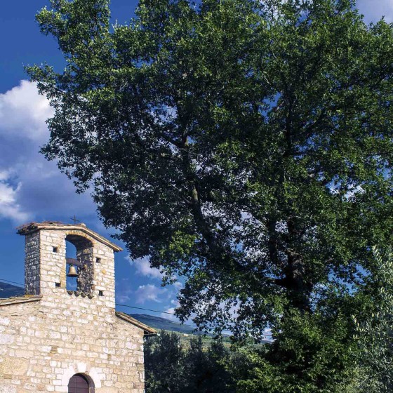 Roverella – Trevi, Santa Maria in Valle, via Collecchio, chiesa di Sant’Andrea