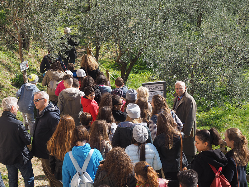 PRESENTAZIONE TREVIAMBIENTE CONOSCENZA IN CAMMINO EDIZIONE 2015