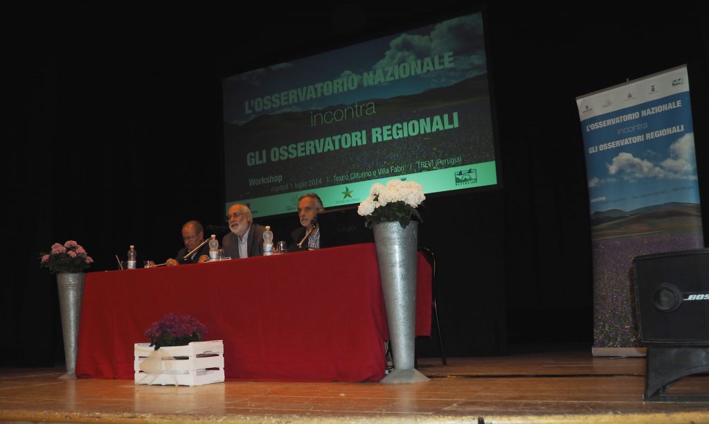 Trevi, Villa Fabri 1 luglio 2014 - workshop (foto di G. Filippucci e T. Ravagli)