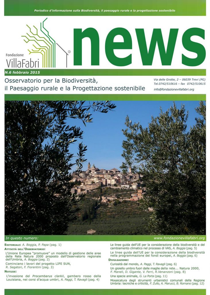 Newsletter-n. 6 - febbraio 2015 - Copertina