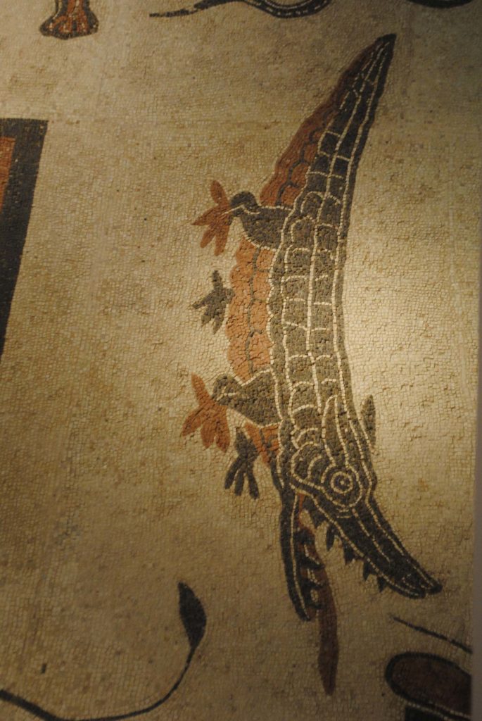 Cannara, Collemancio, Urvinum Hortense, mosaico delle terme, particolare