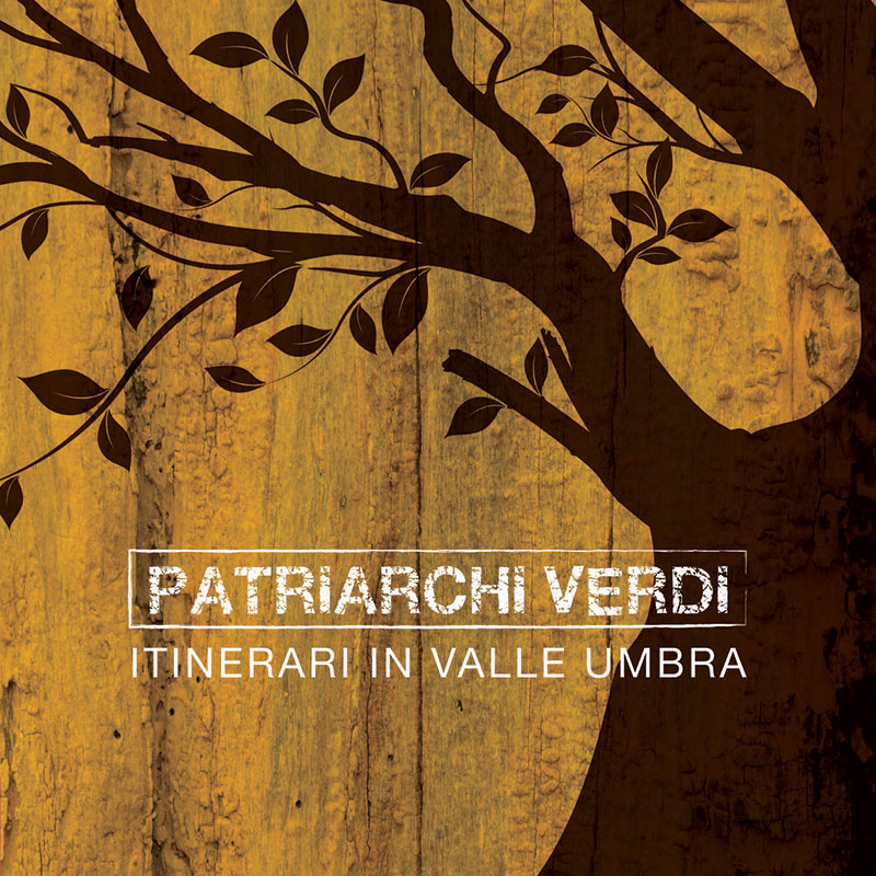 Copertina 'Patriarchi verdi'