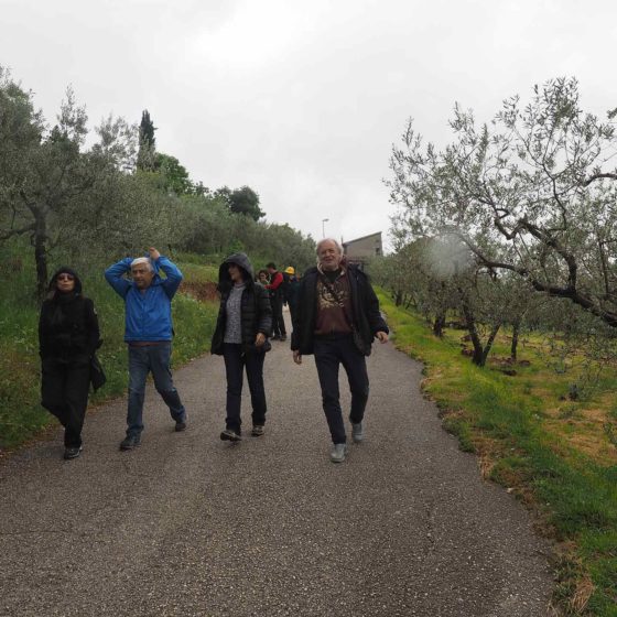 I sentieri di mezzo: presentazione, Trevi, Sala Consiliare, 1 maggio 2016. La passeggiata nel paesaggio olivetato storico