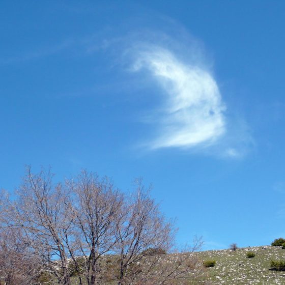 Cirrostrato a falce