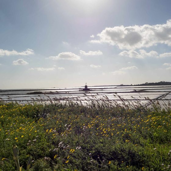 Marsala, vento sulla salina