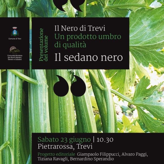 Cartolina presentazione 'IL NERO DI TREVI'